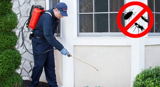Kaman Kemirgen İlaçlama böcek ilaçlama ve haşere kontrolü — ilaclama-tr.com